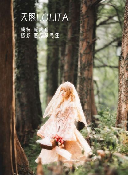 亚洲欧美成人综合在线_国产剧日韩免费观看